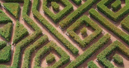 labyrinth-green-labyrinth-top-view-landscape-design-trees-bushes-nature-garden_t20_E4B6nX